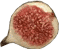 Fig